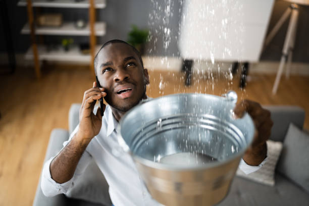  Avonmore, PA Water damage restoration Pros