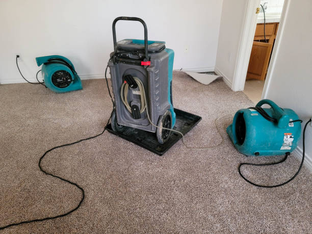 Best 24/7 water damage repair  in Avonmore, PA