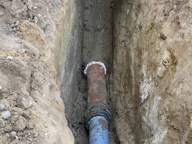 Best Flood restoration services  in Avonmore, PA