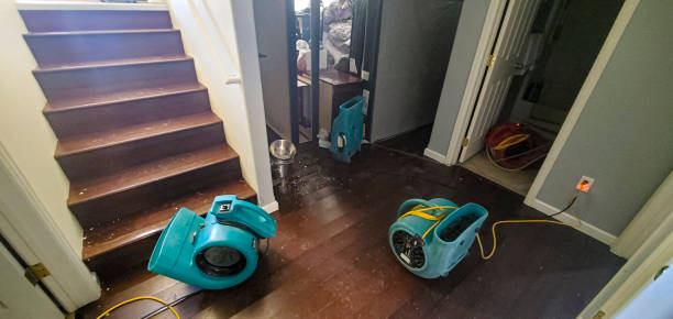 Best Water damage cleanup near me  in Avonmore, PA