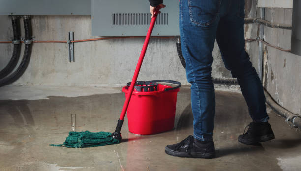 Best Flooded house restoration  in Avonmore, PA