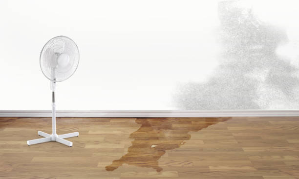 Best Flooded house restoration  in Avonmore, PA