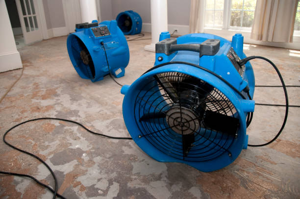 Best Flood damage cleanup  in Avonmore, PA