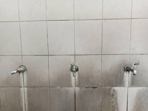Best Local water damage restoration  in Avonmore, PA