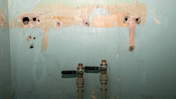 Best Water damage restoration near me  in Avonmore, PA