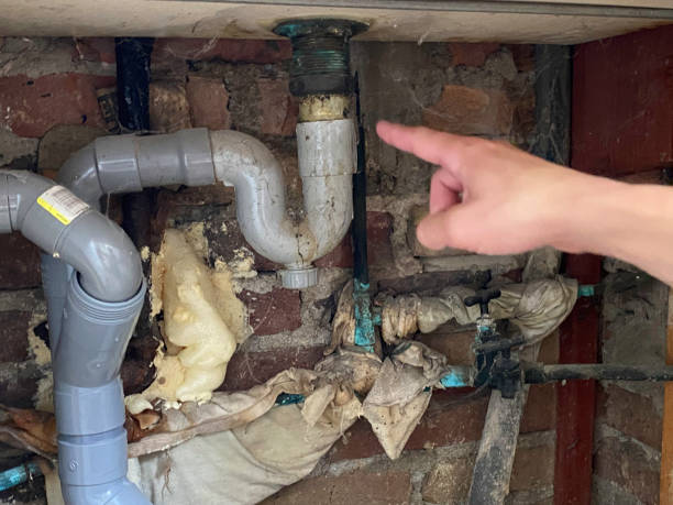 Best Water damage restoration near me  in Avonmore, PA