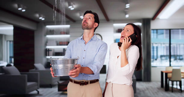 Best Basement water damage restoration  in Avonmore, PA