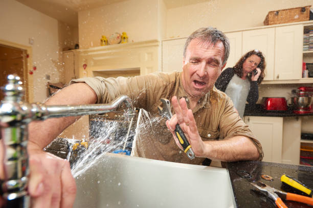 Best Professional water damage repair  in Avonmore, PA